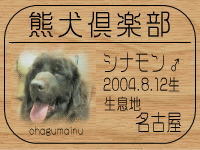 �X�[�p�[�E�j�̕ꂳ��̂a�k�n�f�ւf�n�I